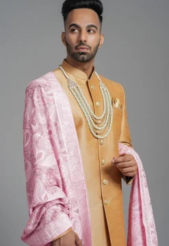 Aari Embroidered Chiffon Dupatta in Pink