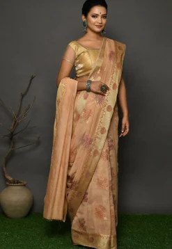 Banarasi Georgette Silk Saree in Beige