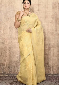 Banarasi Pure Cotton Silk Saree in Beige
