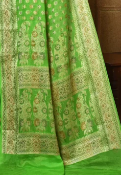 Banarasi Pure Georgette Silk Saree in Light Green