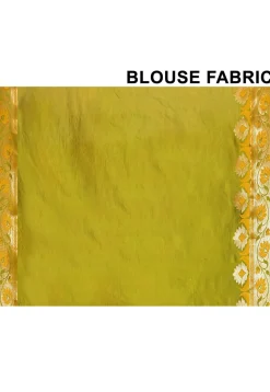 Banarasi Pure Silk Saree in Green