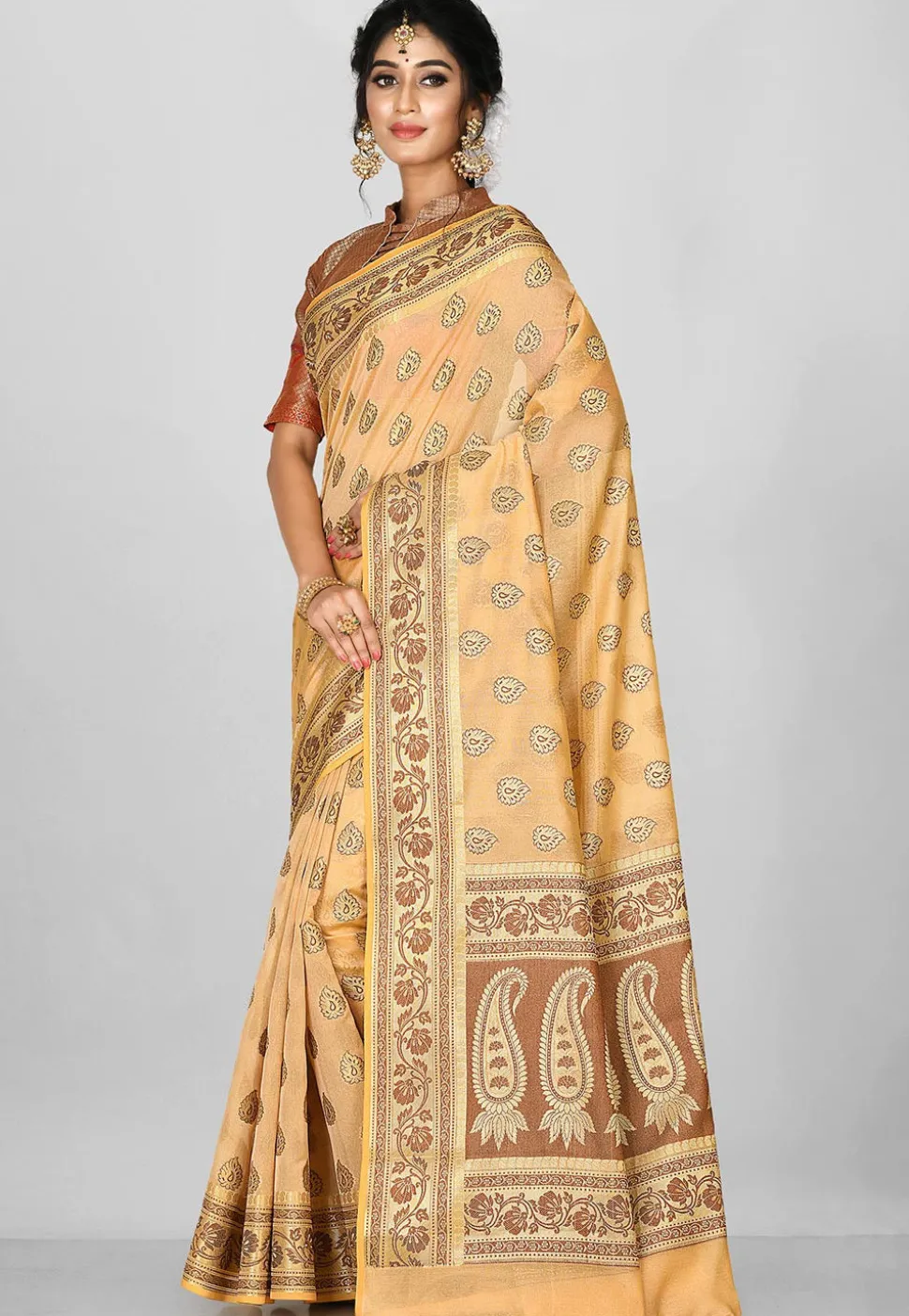 Banarasi Saree in Beige