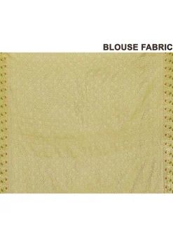 Banarasi Silk Saree in Light Green