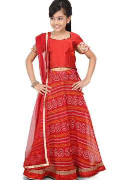 Bandhej Georgette A Line Lehenga in Red