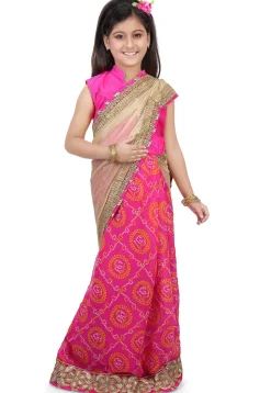 Bandhej Lycra Net and Georgette Half N Half Saree in Beige