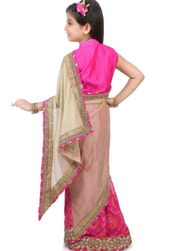 Bandhej Lycra Net and Georgette Half N Half Saree in Beige