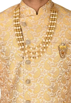 Brocade Sherwani in Light Beige