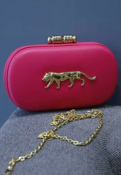 Brooch Rexin Rectangular Clutch Bag in Pink