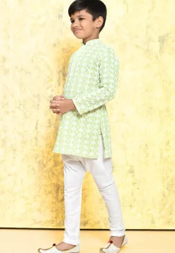 Chikankari Cotton Kurta Set in Light Green