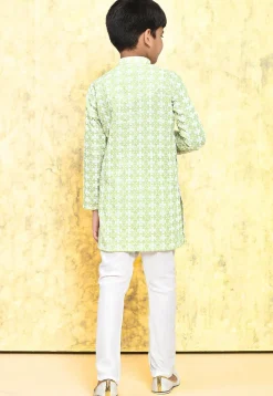 Chikankari Cotton Kurta Set in Light Green