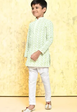 Chikankari Cotton Kurta Set in Light Green