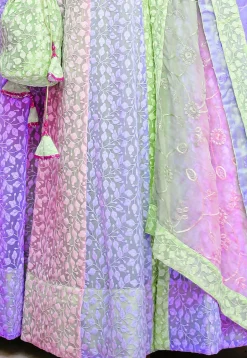 Chikankari  Georgette Lehenga in Multicolor