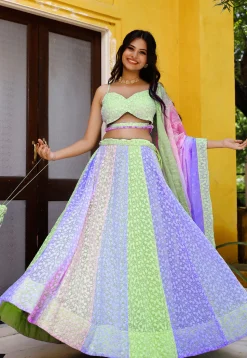 Chikankari  Georgette Lehenga in Multicolor