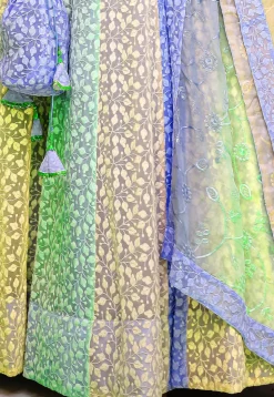 Chikankari  Georgette Lehenga in Multicolor