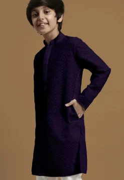 Chikankari Pure Cotton Kurta in Dark Purple