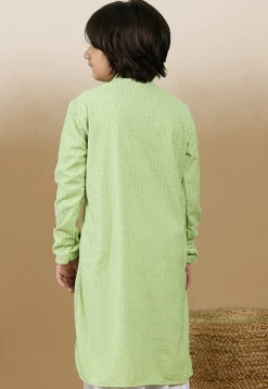Chikankari Pure Cotton Kurta in Light Green