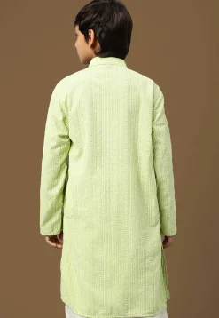 Chikankari Pure Cotton Kurta in Light Green