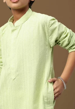 Chikankari Pure Cotton Kurta in Light Green