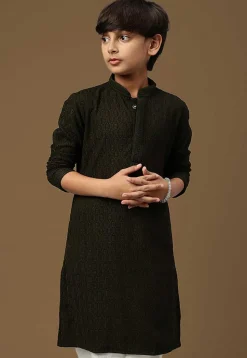 Chikankari Pure Cotton Kurta in Dark Olive Green