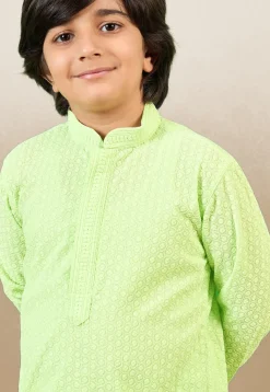 Chikankari Pure Cotton Kurta in Light Green