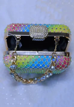 Embellished Art Silk Clutch Bag in Multicolor