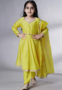 Embellished Cotton Silk A Line Suit in Olive Green