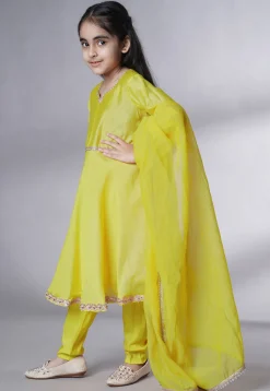 Embellished Cotton Silk A Line Suit in Olive Green