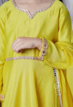 Embellished Cotton Silk A Line Suit in Olive Green