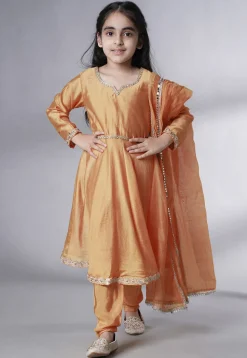 Embellished Cotton Silk A Line Suit in Dark Beige