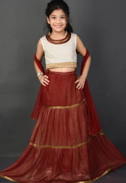 Embellished Georgette Shimmer Lehenga in Maroon