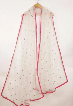Embellished Net Dupatta in White