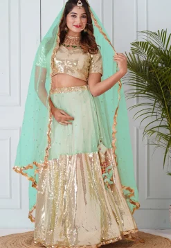 Embellished Net Dupatta in Pastel Green