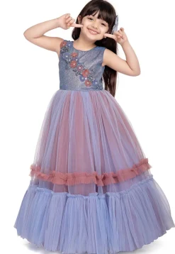 Embellished Net Gown in Blue