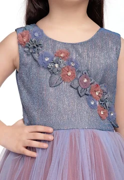 Embellished Net Gown in Blue