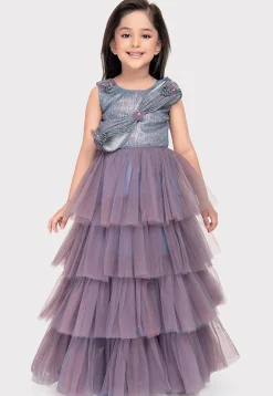 Embellished Net Gown in Dusty Blue and Purple