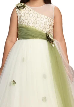 Embellished Net Gown in Off White and Green