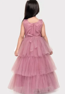 Embellished Net Gown in Pink