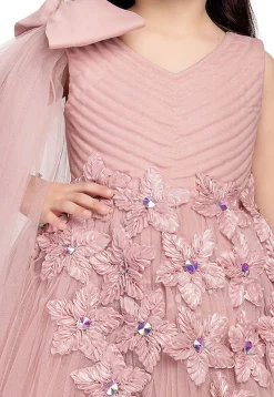 Embellished Net Gown in Peach