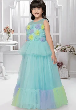 Embellished Net Gown in Sky Blue