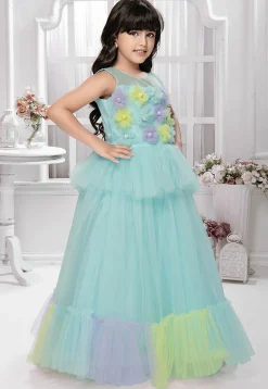 Embellished Net Gown in Sky Blue