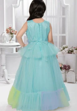 Embellished Net Gown in Sky Blue