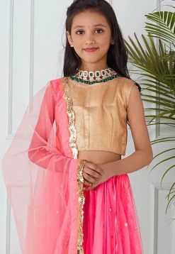 Embellished Net Lehenga in Coral Pink
