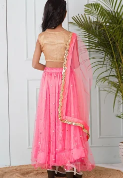 Embellished Net Lehenga in Coral Pink