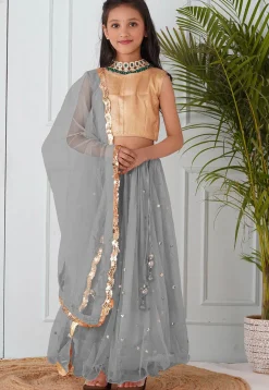 Embellished Net Lehenga in Grey