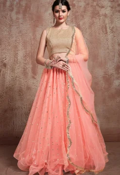 Embellished Net Lehenga in Peach