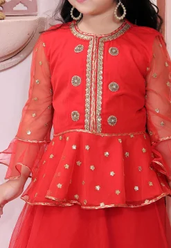 Embellished Net Lehenga in Red