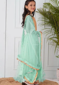 Embellished Net Lehenga in Pastel Green