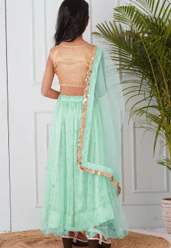 Embellished Net Lehenga in Pastel Green