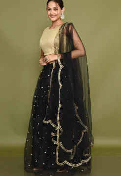 Embellished Net Lehenga in Black