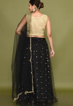 Embellished Net Lehenga in Black